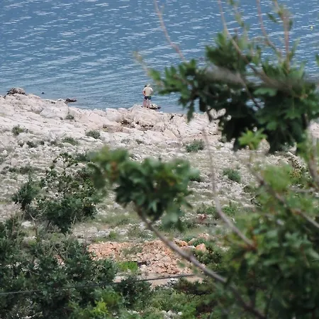 Senka * Vinjerac